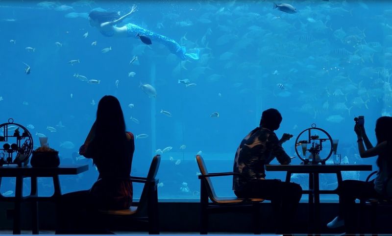 海底餐廳(圖片來源─海南省旅遊局)