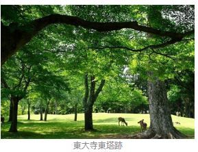圖片來源:樂吃購提供