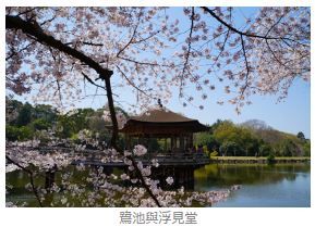 圖片來源:樂吃購提供