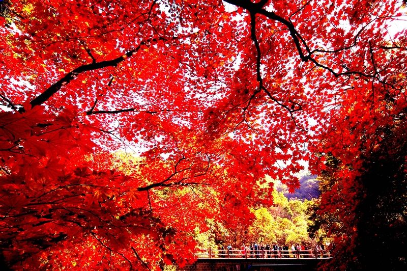 關門山景區。遼寧繁體官網http://www.liaoning.com.tw/