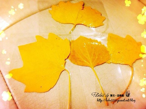 圖片來源:寶兒 ღ遊樂園ღ http://goo.gl/M5OcBE