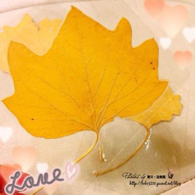 圖片來源:寶兒 ღ遊樂園ღ http://goo.gl/M5OcBE