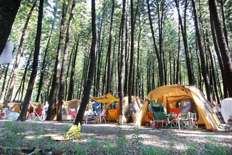 在充滿芬多精的陽光森林裡甦醒，走出帳篷那一剎那的感覺清新無比。