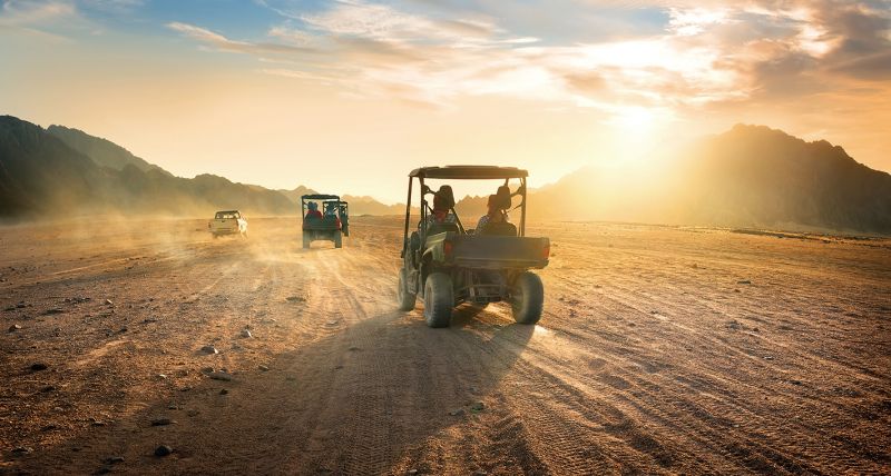 乘坐上4X4的越野車,一面追逐動物的腳印,也看見他們放情於自然的一面。(Photo|123RF)