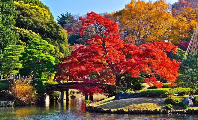 秋意濃 賞楓紅 日本前三名超人氣紅葉景點 欣傳媒