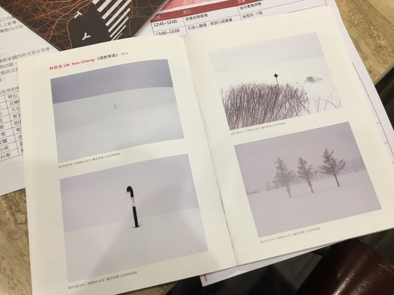 林厚成《絕對零度》/翻攝自展覽手冊