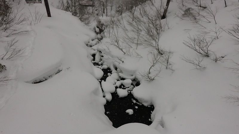 鬆雪中跑樹林，最需要小心的就是不小心跌進洞裡。(photo by 阿福)