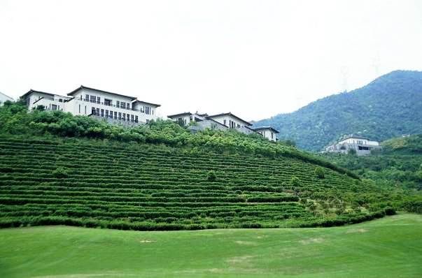 茶園坡上的Villa。圖片提供:大雁出版