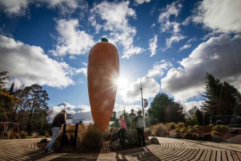 Ohakune 鎮上ㄧ個好笑的地標，號稱是世界上最大的胡蘿蔔(David Huang教練提供)