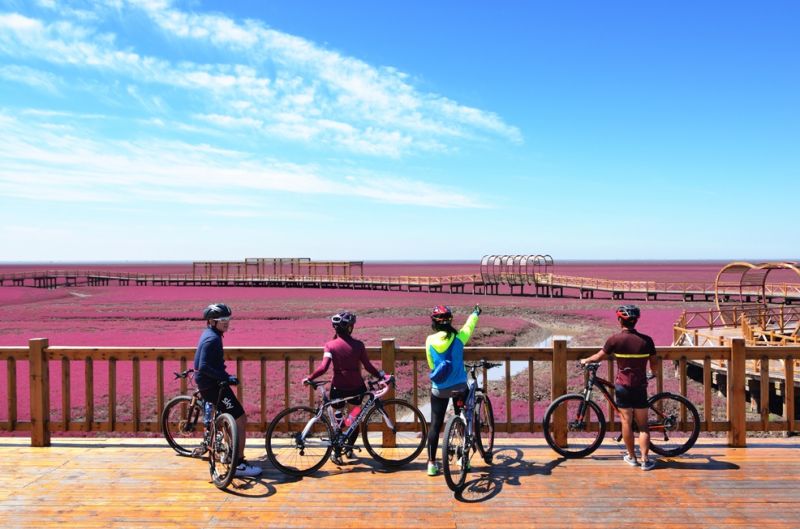 盤錦紅海灘每年舉辦的單車賽，吸引各地好手參加。