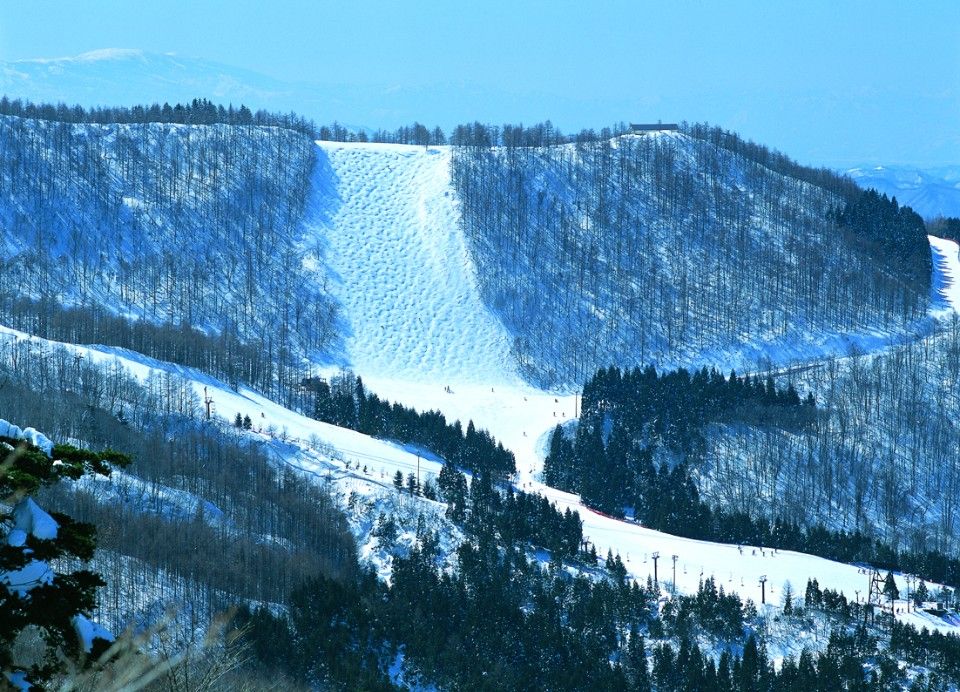 藏王溫泉滑雪場-橫倉38滑道
