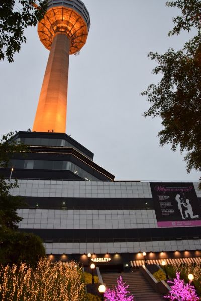 83塔塔高202米，是全韓國最高的塔。（方雯玲攝）
