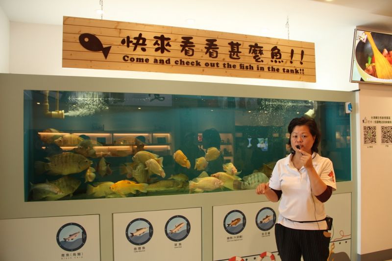 導覽老師解說吳郭魚變成台灣鯛的身世故事。（鐘玉霞攝影）