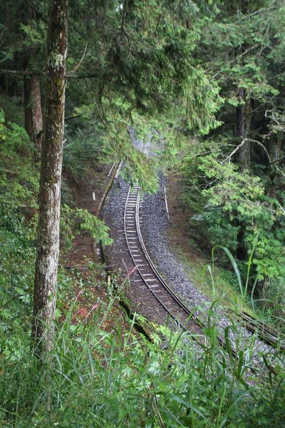 森林鐵道早年是為了林木開採所建，也成為後人們造訪山林的好幫手。(盧育君攝影)