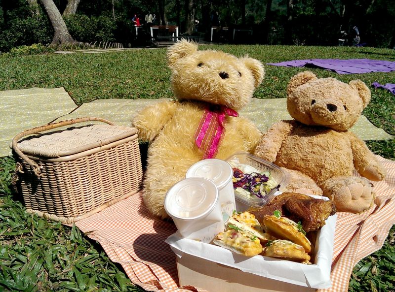 趁著天氣好時，來場愜意森林野餐也不賴。（澤澤稱奇?小澤提供）