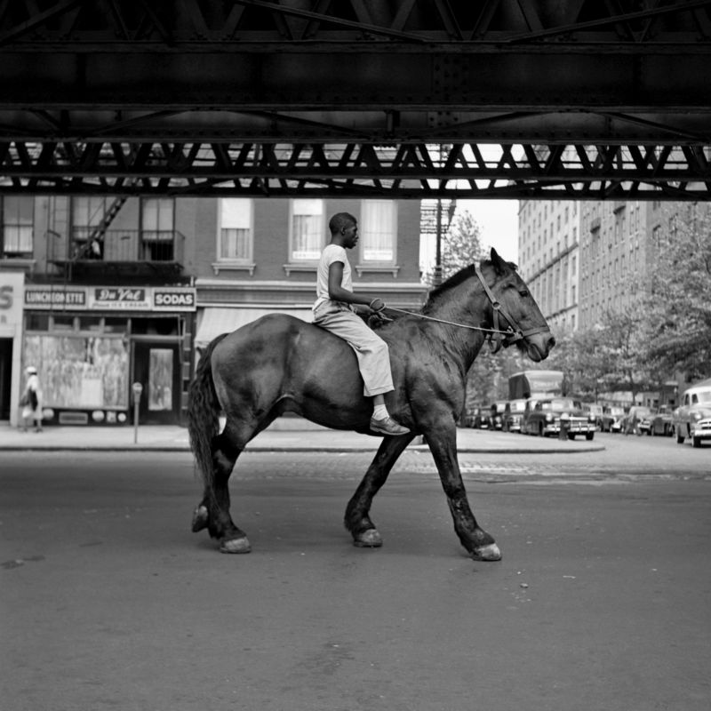 American Man on Horse NYC／牽猴子 提供