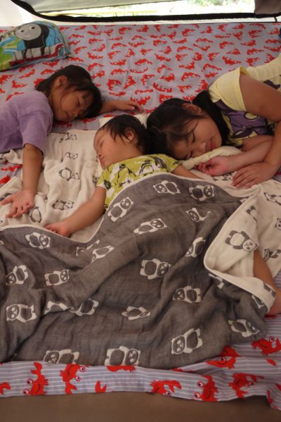 寶寶睡眠習慣規律後，爸媽能掌握他的作息時間，就是出門露營的好時機。