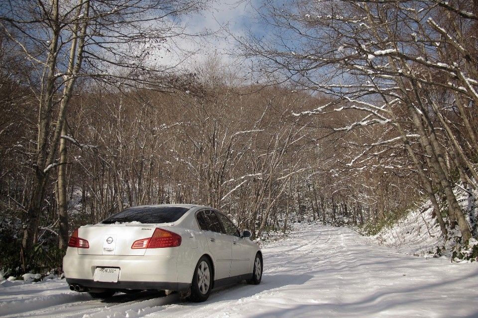 日本四季變化大，雪地開車時經驗不足時建議放慢速度小心開。（圖片來源：Flickr CC授權作者MIKI Yoshihito）