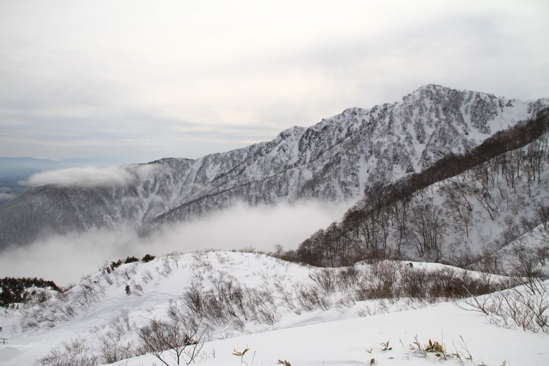 山頂旁的鬆雪樹林。(photo by 阿福)