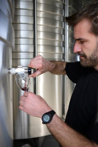 可以花點參觀費了解葡萄酒的製作過程以及試飲第一手的美味。（圖片來源：123RF）