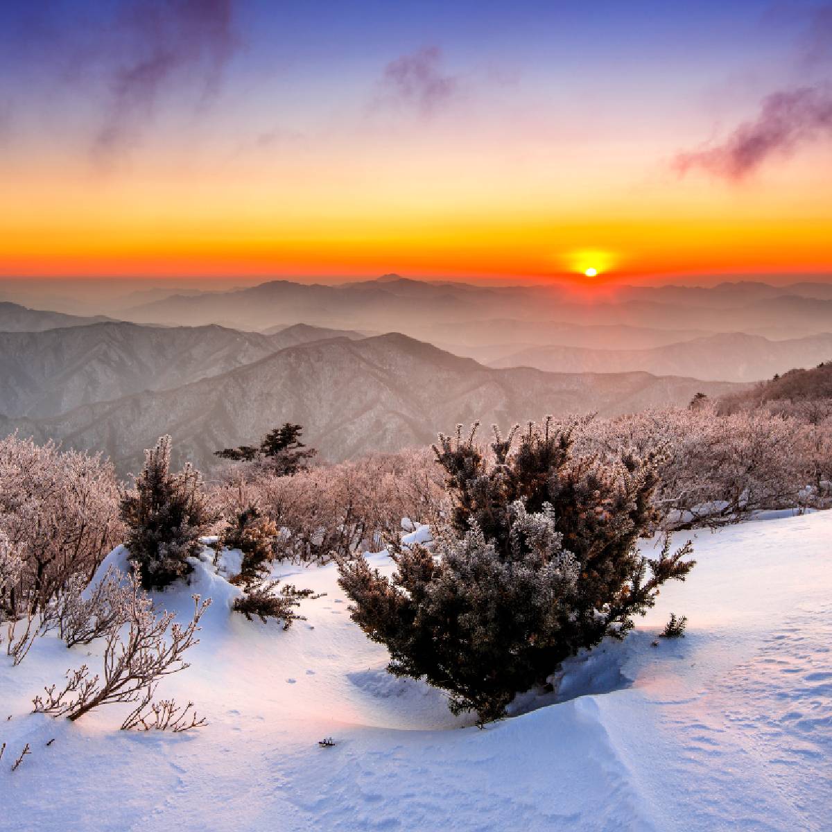 韓國高山雪景